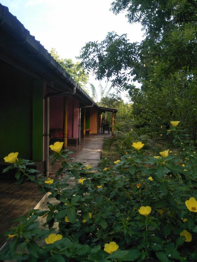 The Nest Hotel Mahiyanganaya Ngoại thất bức ảnh